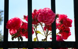 Vyzbrojení mocí z výsosti Vyzbrojení mocí z výsosti