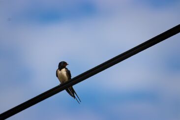 Podle Božího Slova