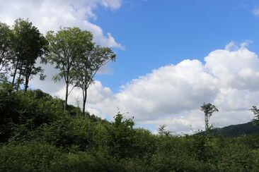 "Blahoslavená, která jsi uvěřila" 
