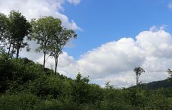 "Blahoslavená, která jsi uvěřila" 