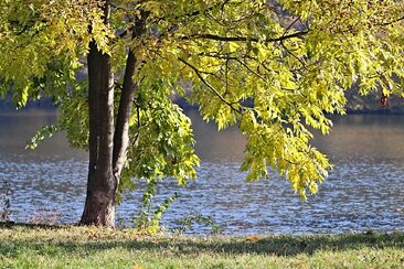 "Ať tobě Hospodin požehná"