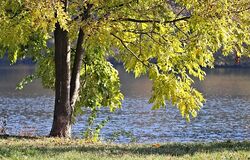 "Ať tobě Hospodin požehná"