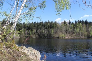 "Je třeba, abychom zcela splnili Boží vůli" 