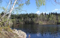 "Je třeba, abychom zcela splnili Boží vůli" 