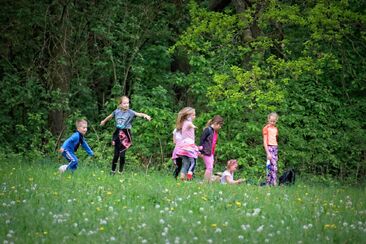 Dědicové království 