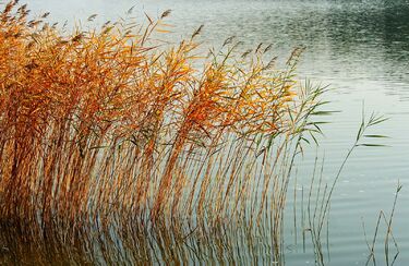 2. neděle adventní (A) - videoúvod 