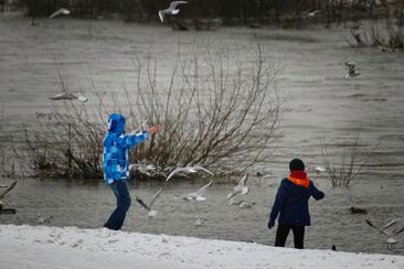 Učedníci a pohoršení (26. neděle v mezidobí B) 