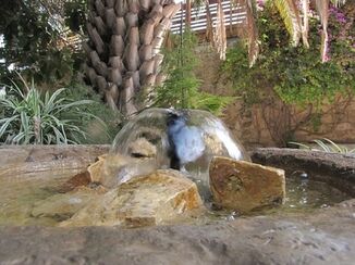 Voda věčného života (3. neděle postní A) 