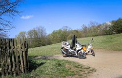 "Celník se vrátil domů ospravedlněn"