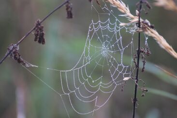 Nebojujeme proti tělu a krvi 