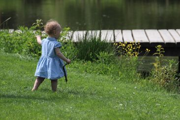 Rozhodnutí důvěřovat