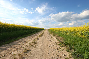 5. neděle velikonoční (A) - videoúvod