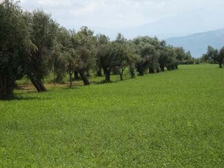 Jsi ten, který má přijít? (3. neděle adventní A) 