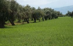 Jsi ten, který má přijít? (3. neděle adventní A) 