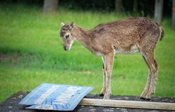 "Blahoslavení chudí v duchu, neboť jejich je nebeské království" (32. neděle v mezidobí B) 