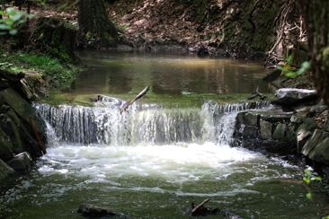 Zakotveni v jednom Duchu