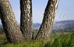 Hledejte Boha (4. neděle v mezidobí A) 