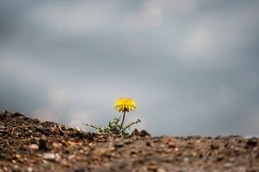 2. neděle postní (A) - videoúvod 