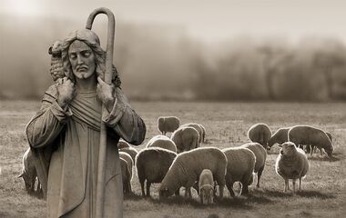 K obrazu Pastýře (4. neděle velikonoční C)