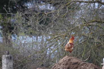 "Ježíš věděl, že přišla jeho hodina"