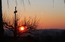 "Jděte a oznamte Janovi, co slyšíte a vidíte" 