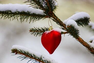 "Do vlastního přišel, ale vlastní ho nepřijali"