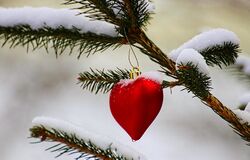 "Do vlastního přišel, ale vlastní ho nepřijali"