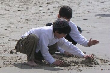 Trpělivostí zachráníte svou duši (33. neděle v mezidobí C) 