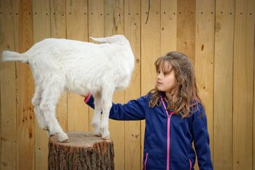 4. neděle v mezidobí (A) - videoúvod 