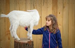 4. neděle v mezidobí (A) - videoúvod 