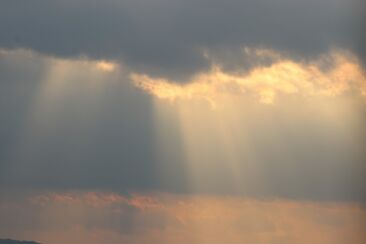 "Slovo se stalo tělem"