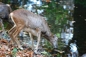 Důsledky proměněné mysli 