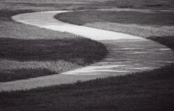 "Odkud přicházíš a kam jdeš?"