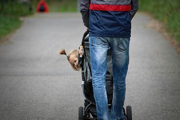 Dal nám moc stát se Božími dětmi (2. neděle po Narození Páně A) 