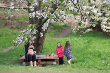 Boží království (Slavnost Ježíše Krista Krále C) 