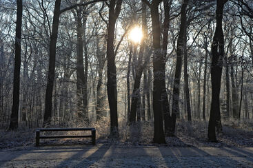 Slavnost Zvěstování Páně - videoúvod 